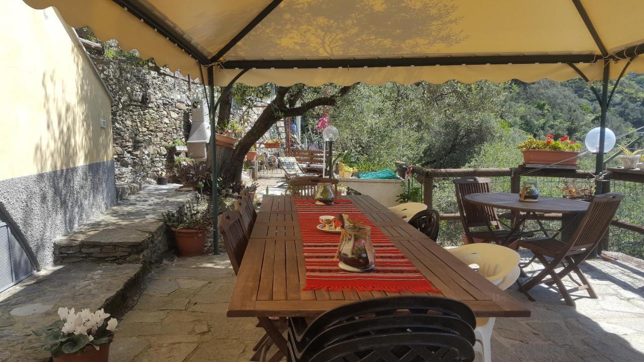 Agriturismo I Pipetta ليفانتو المظهر الخارجي الصورة