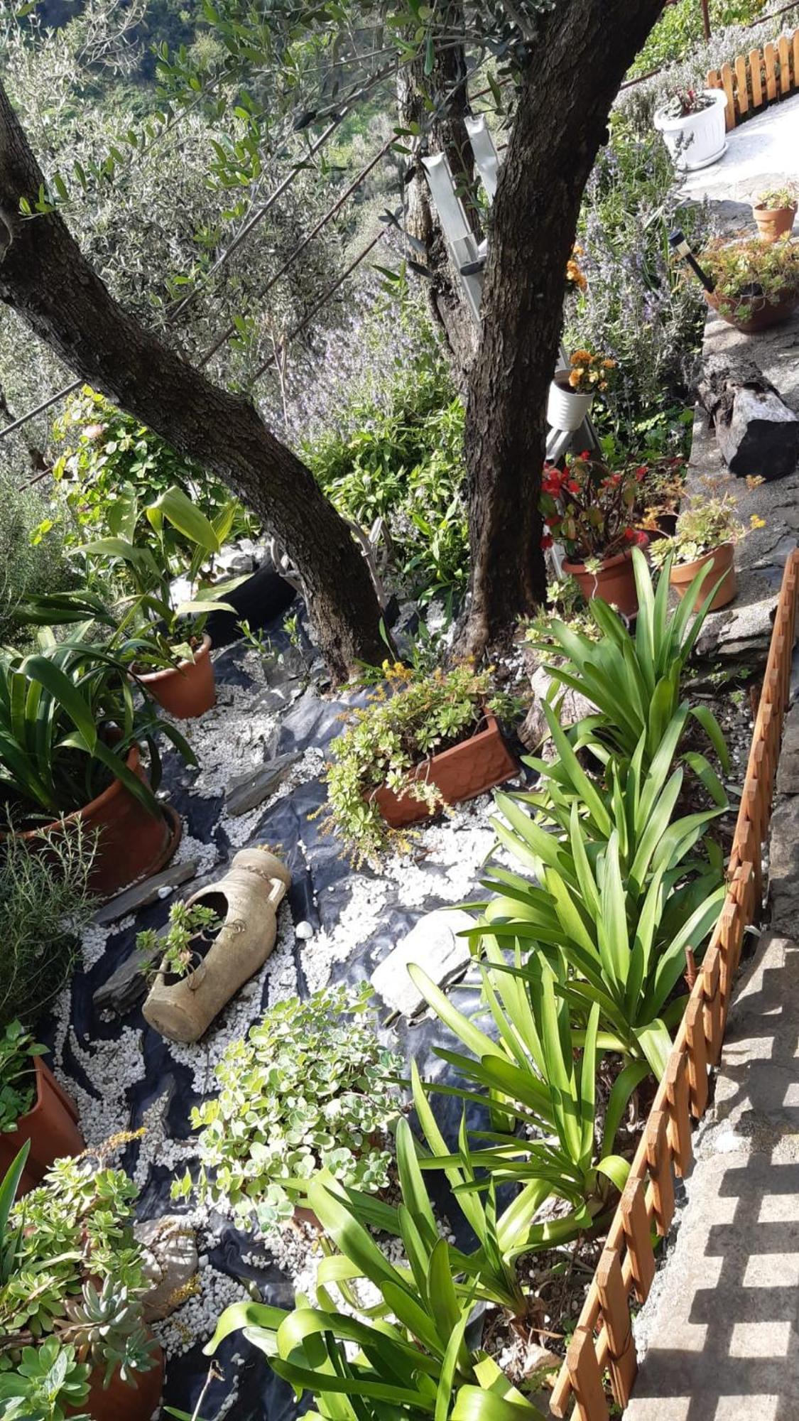 Agriturismo I Pipetta ليفانتو المظهر الخارجي الصورة